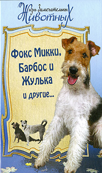Собачье счастье