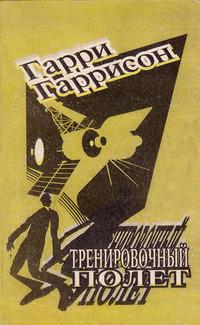 Тренировочный полёт
