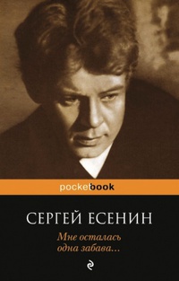 Мне осталась одна забава..