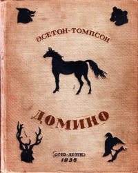 Домино