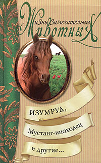 Мустанг-иноходец