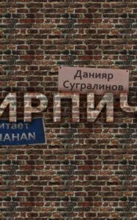 Кирпичи