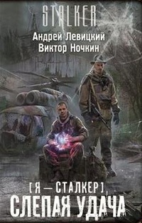 Слепая удача