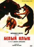 Белый клык