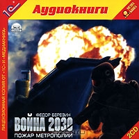 Война 2030. Пожар метрополии