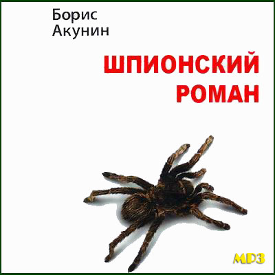 Шпионский роман