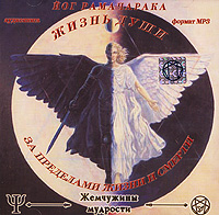 За пределами жизни и смерти