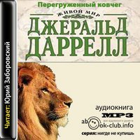 Перегруженный ковчег