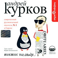 Пикник на льду