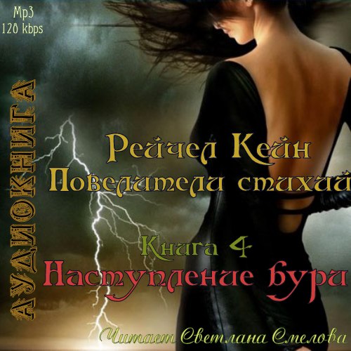 Повелители стихий. Книга 4. Наступление бури