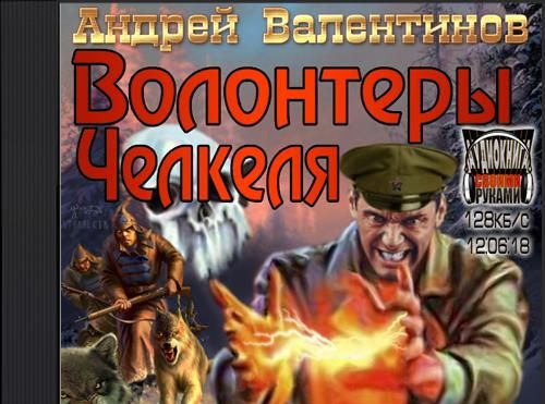 Волонтеры Челкеля