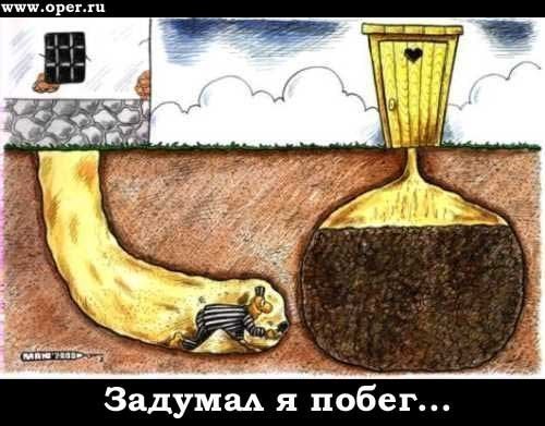 Замыслил я побег