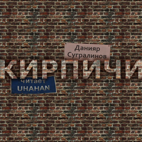 Кирпичи