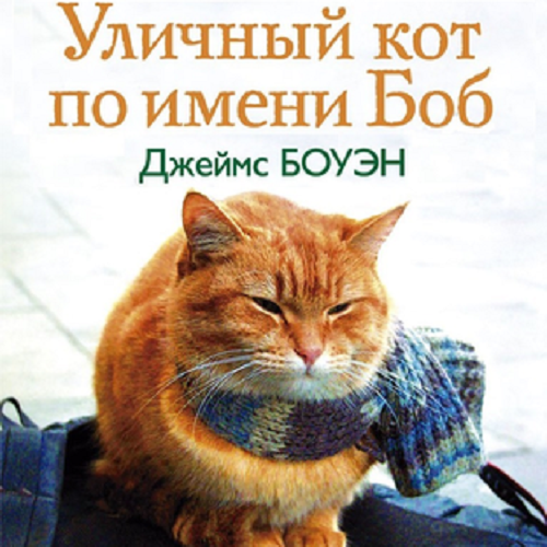 Уличный кот по имени Боб. Как человек и кот обрели надежду на улицах Лондона