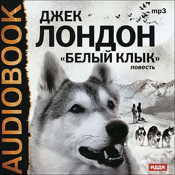 Белый клык